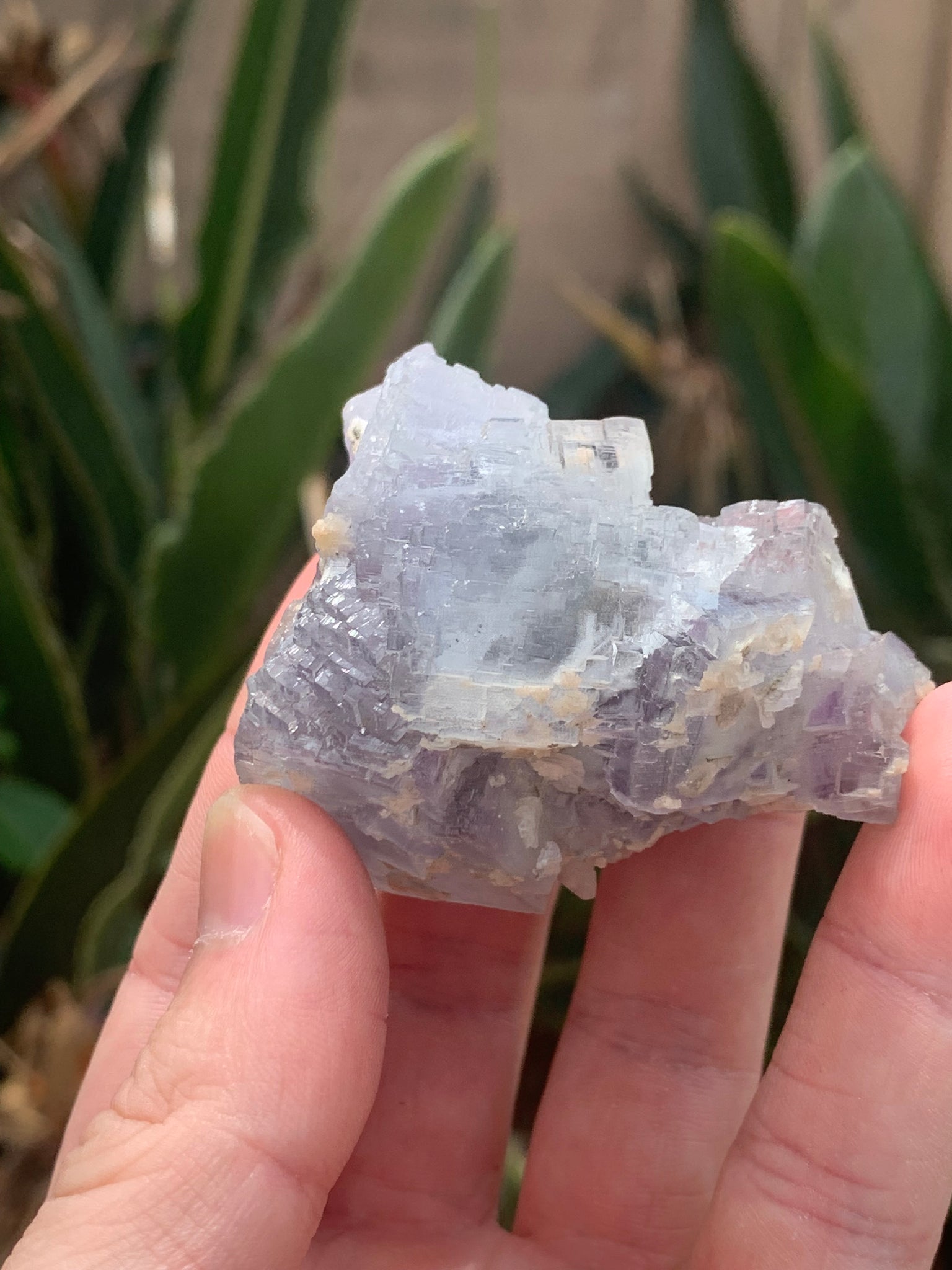Etched Fluorite