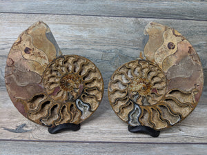 Stunning Ammonite Pair with Druzy & Quartz