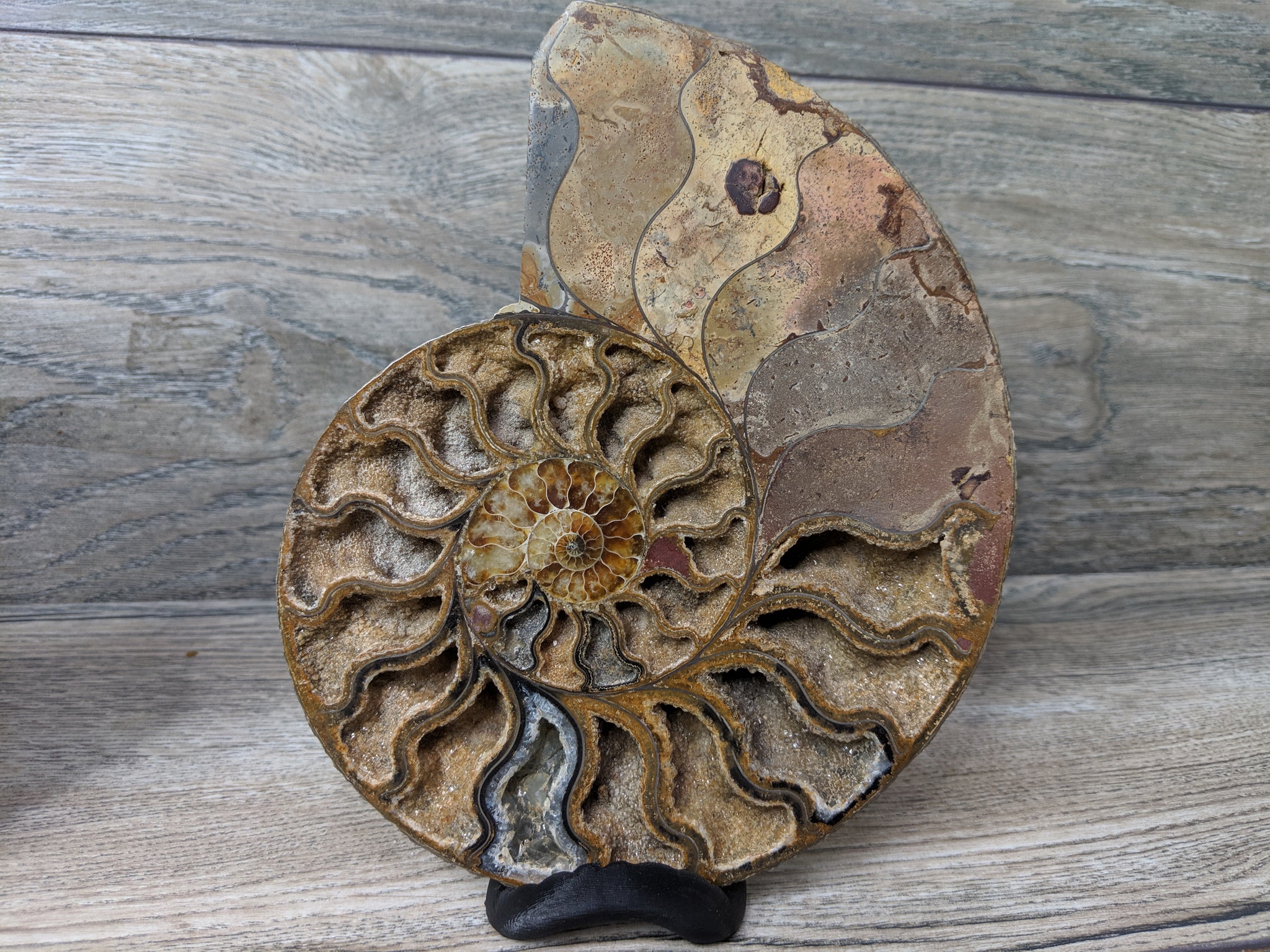 Stunning Ammonite Pair with Druzy & Quartz