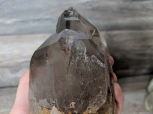 Movement Smokey Quartz