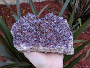 Ascension Thunder Bay Amethyst