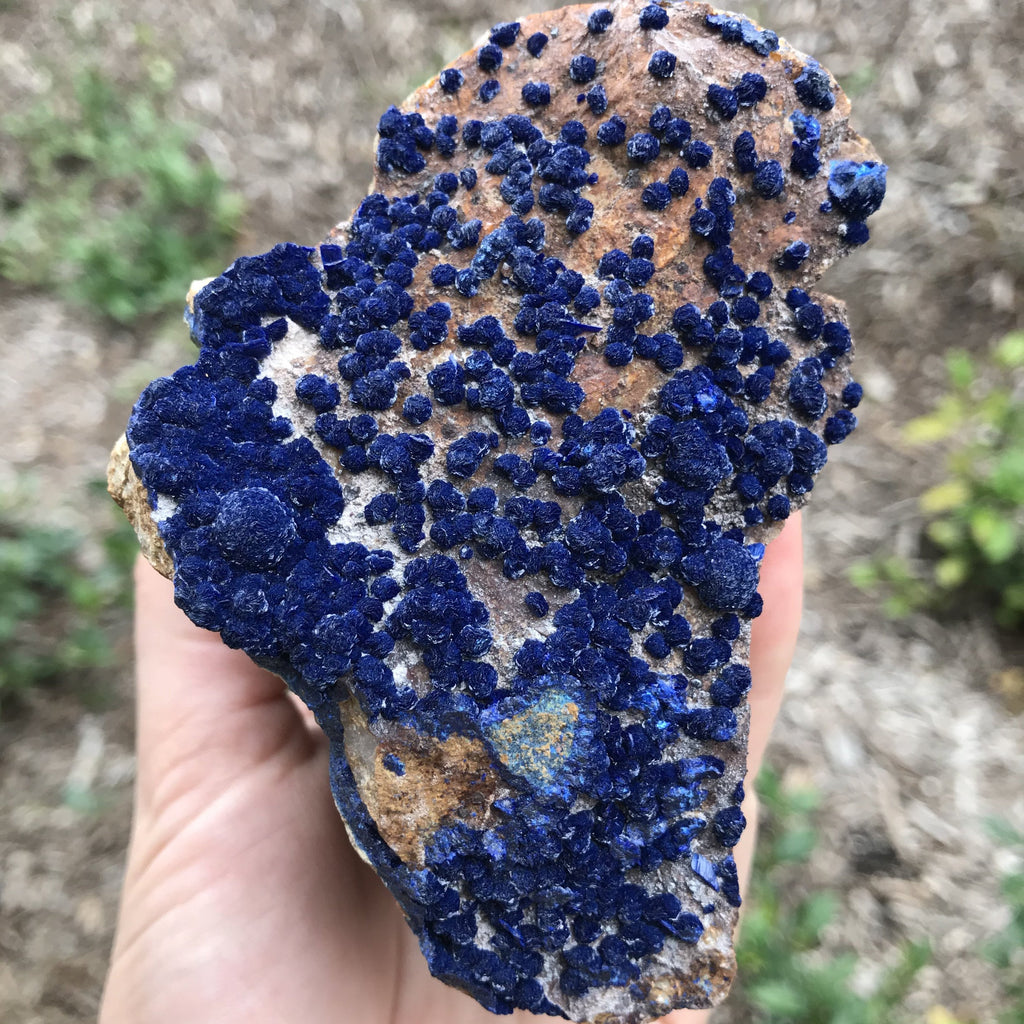 Royal Blue Botryoidal Azurite in Matrix