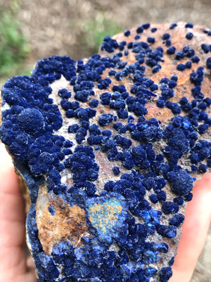 Royal Blue Botryoidal Azurite in Matrix