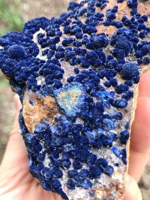 Royal Blue Botryoidal Azurite in Matrix