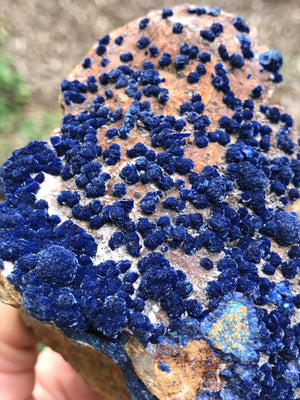 Royal Blue Botryoidal Azurite in Matrix