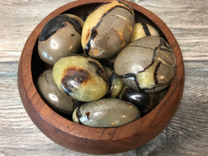 Septarian Palm Stones