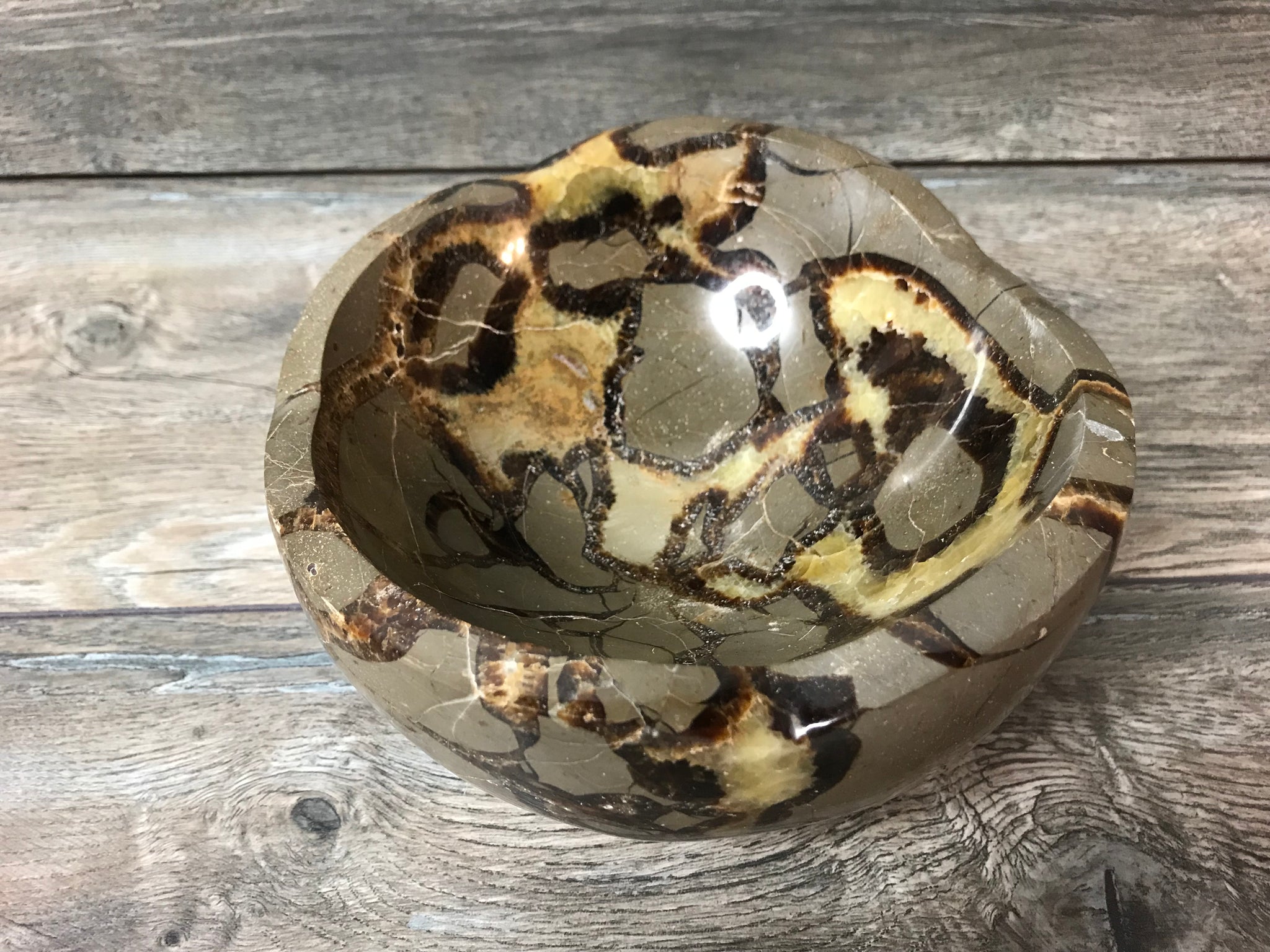 Septarian Bowl