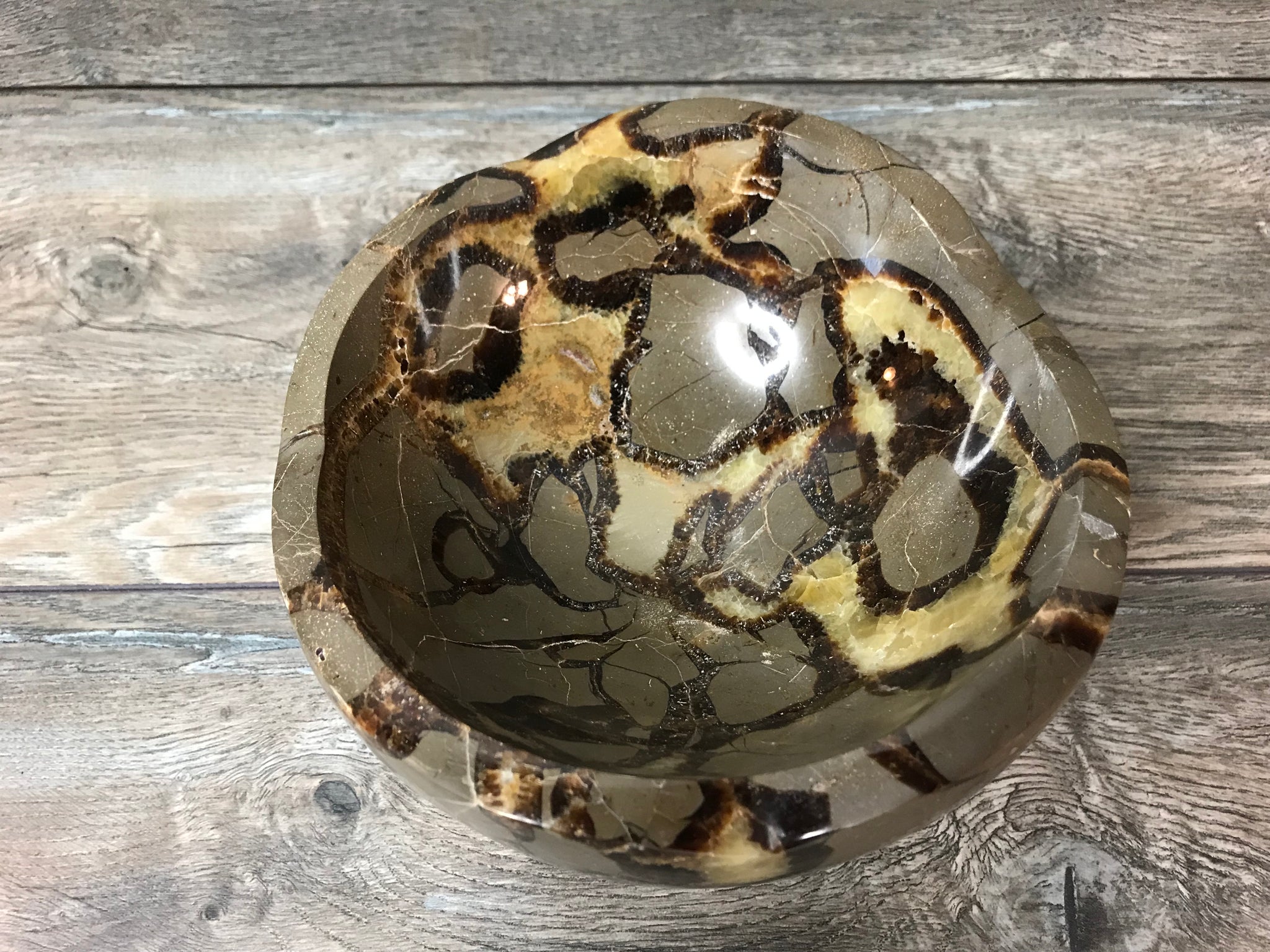 Septarian Bowl