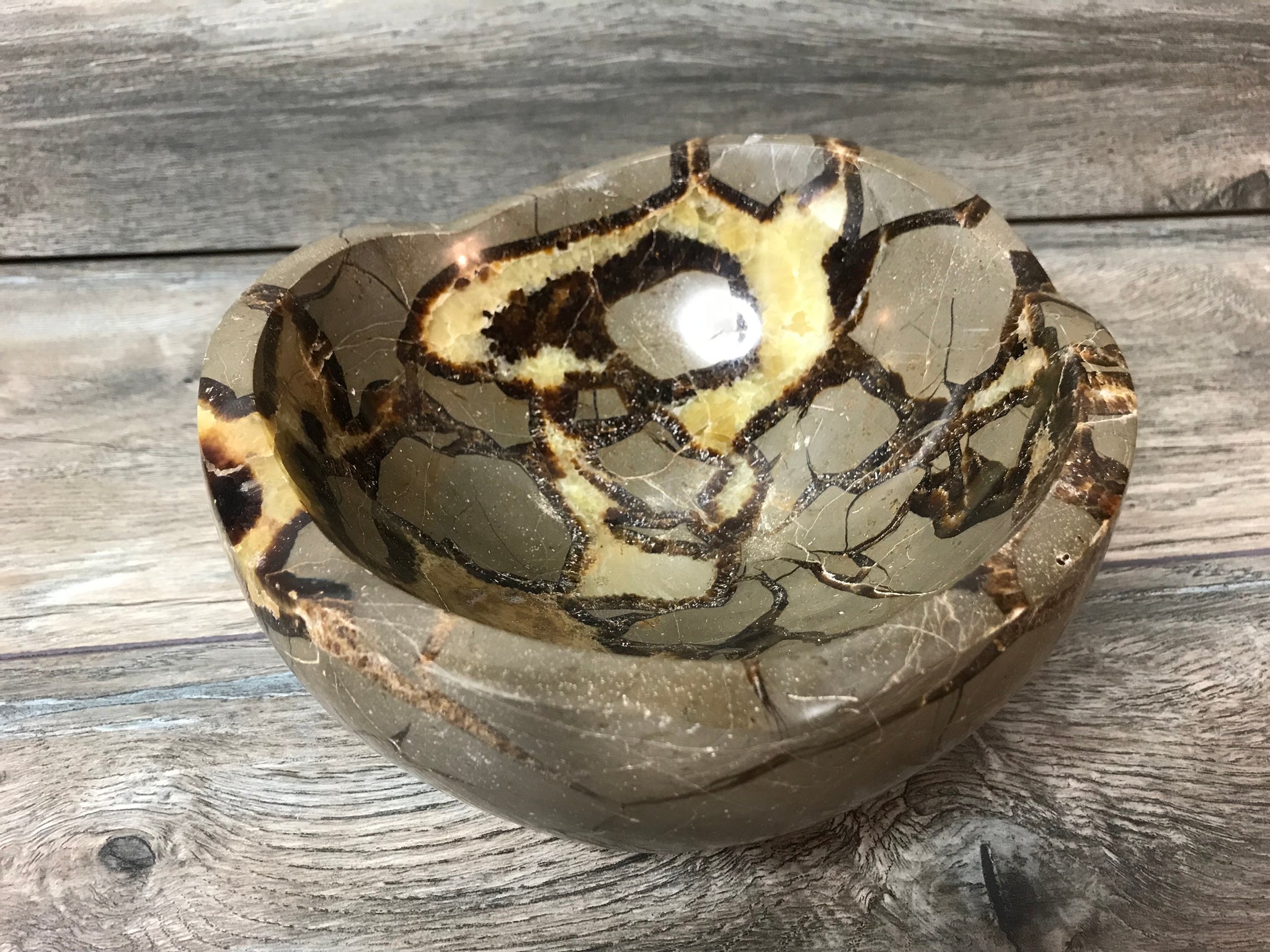 Septarian Bowl