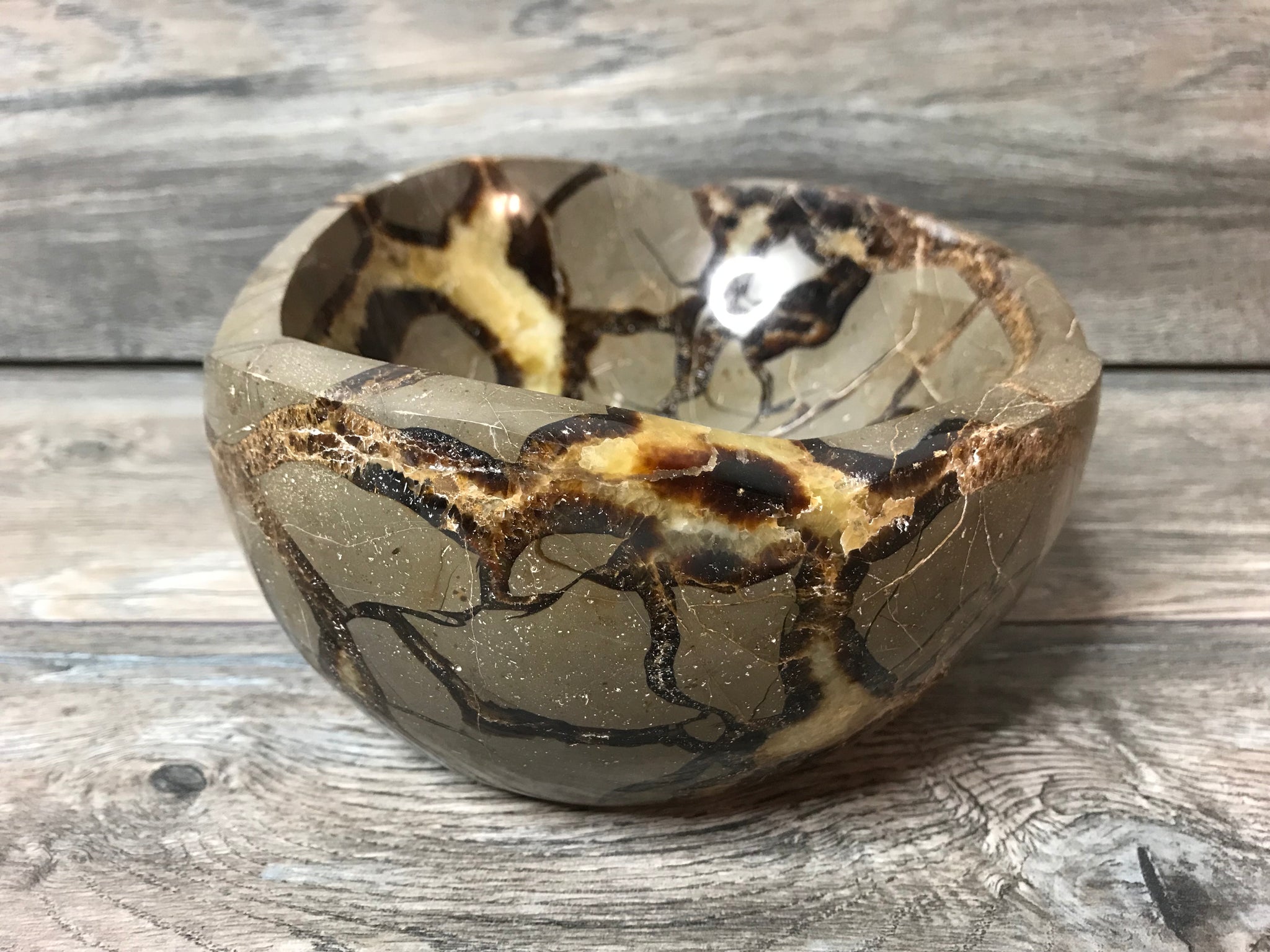 Septarian Bowl