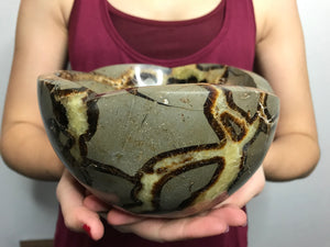 Septarian Bowl