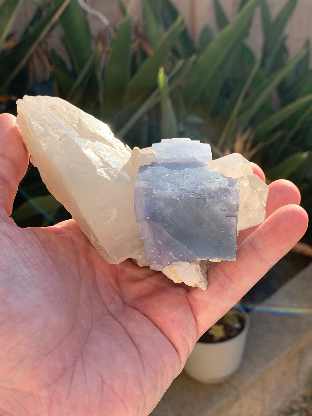 Fluorite with Quartz