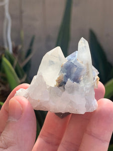 Fluorite on Quartz