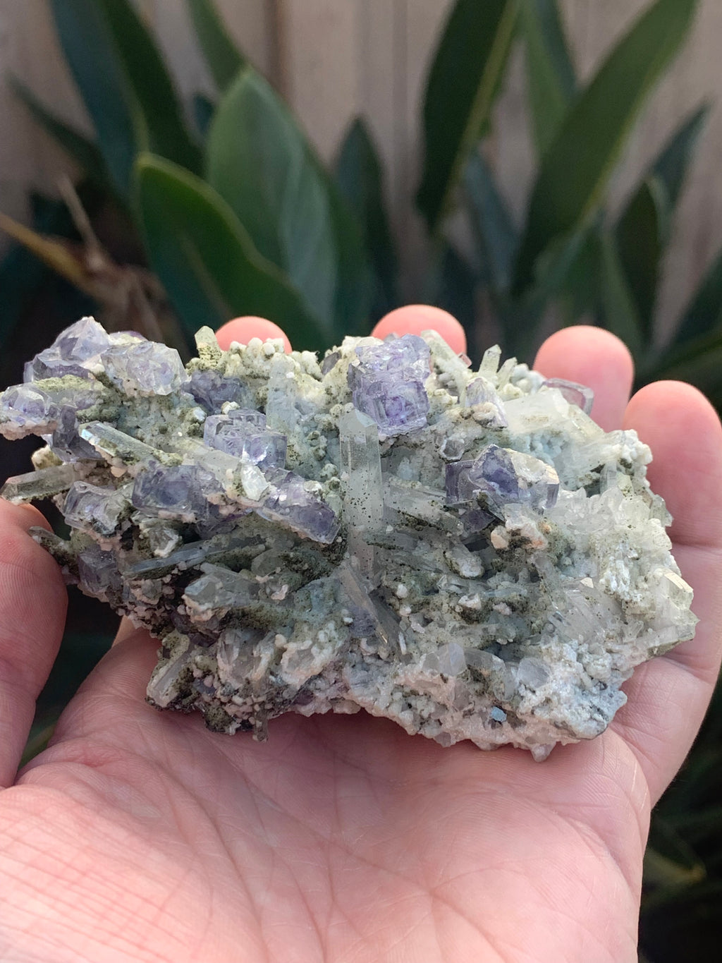 Fluorite on Quartz