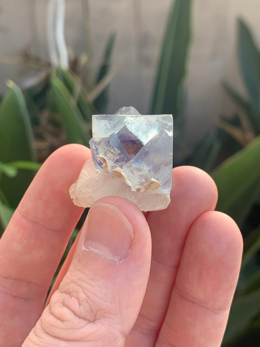 Fluorite on Quartz