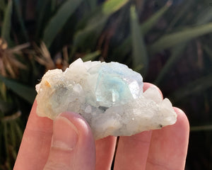 Fluorite on Druzy Quartz