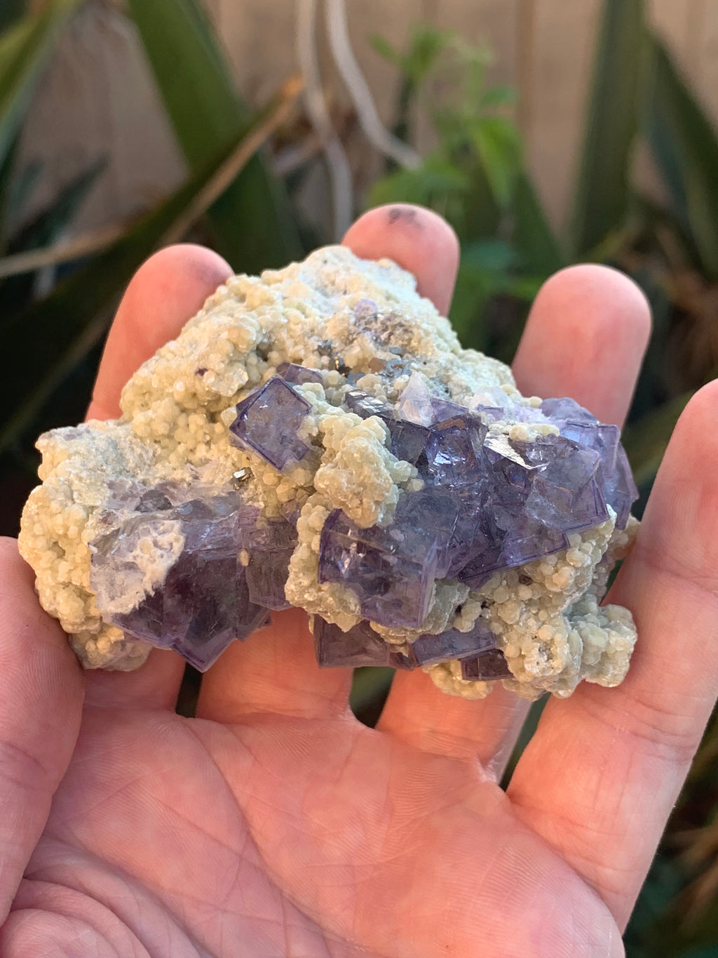 Fluorite with Calcite