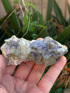 Fluorite with Quartz and Wolframite