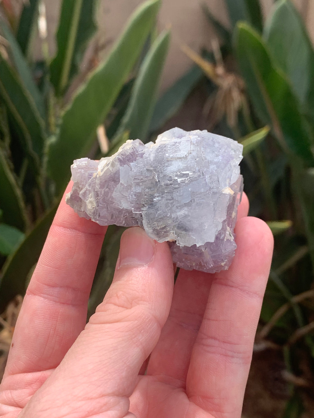 Etched Fluorite