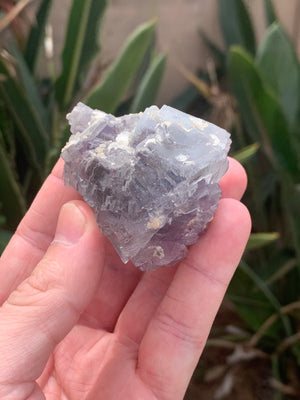 Etched Fluorite