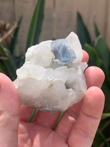 Fluorite on Quartz