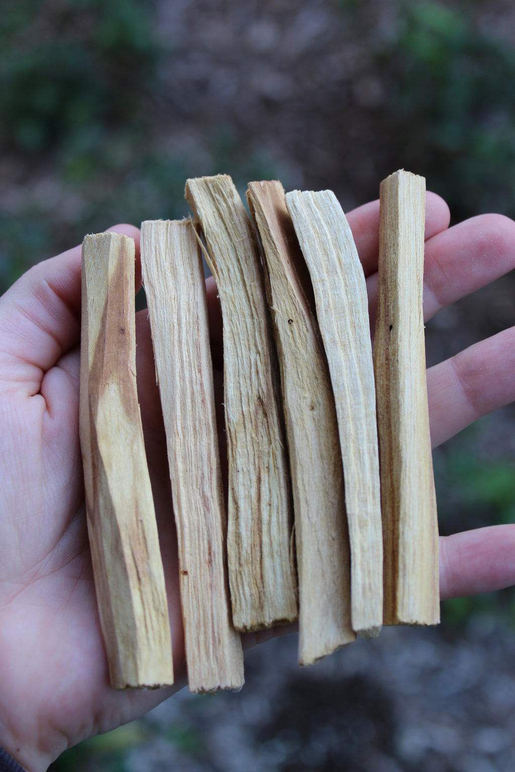 Palo Santo Wood Smudge Sticks